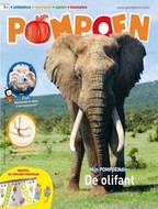 Pompoen
