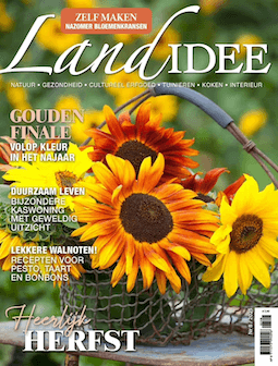 LandIdee