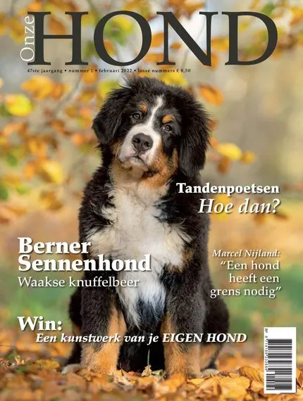 Onze Hond