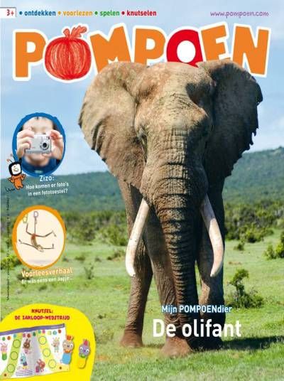 Pompoen aanbiedingen