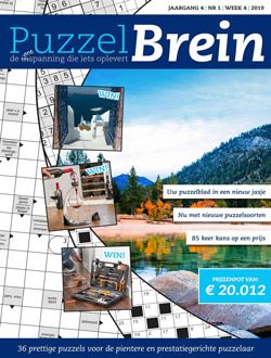 Puzzelbrein aanbiedingen voor een abonnement of proefabonnement