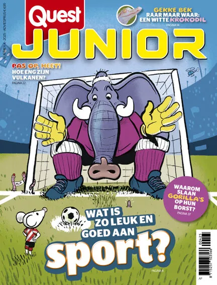 Quest Junior