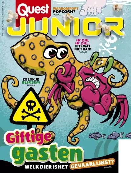 Quest Junior