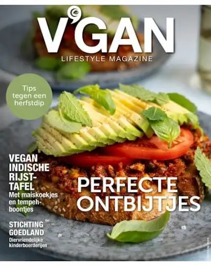 VGAN Lifestyle Magazine