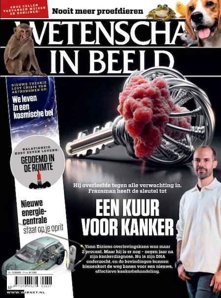 Wetenschap in Beeld