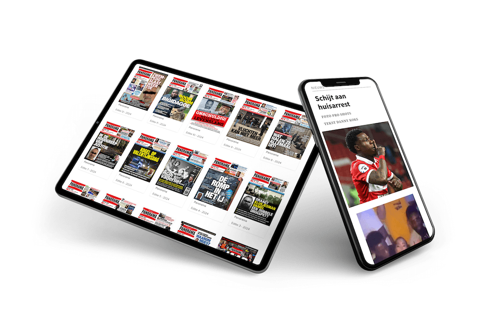 Panorama digitaal lezen
